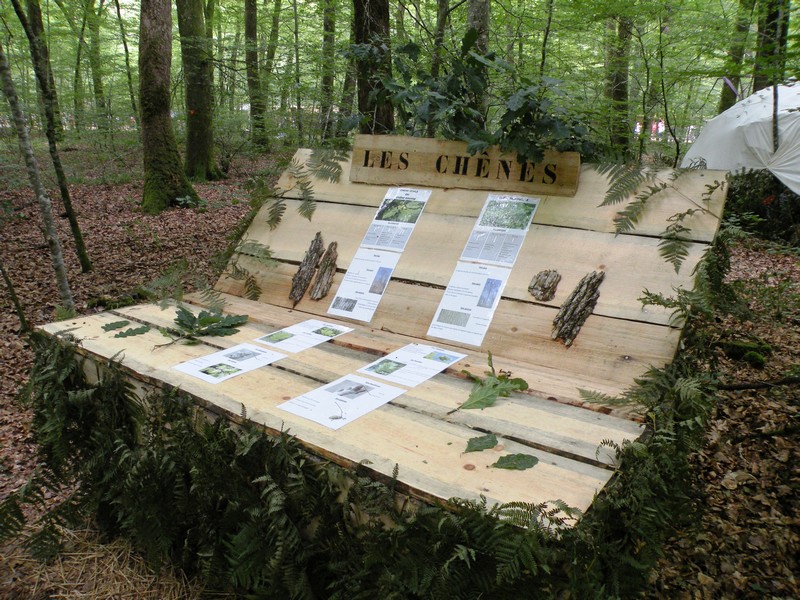 DSCN6628.JPG