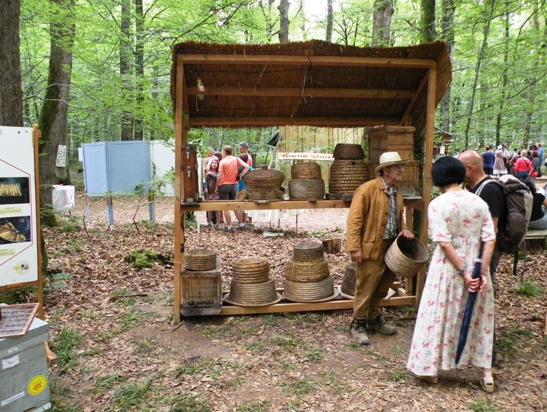 DSCN6645.JPG