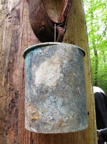 DSCN6647.JPG