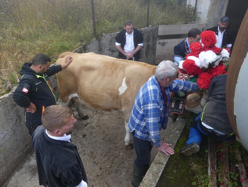 P1310466.JPG