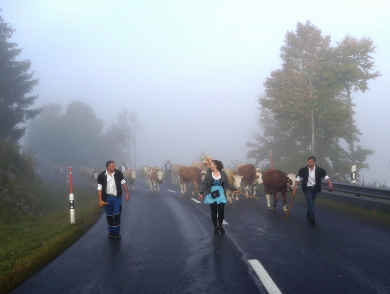 P1310546.JPG