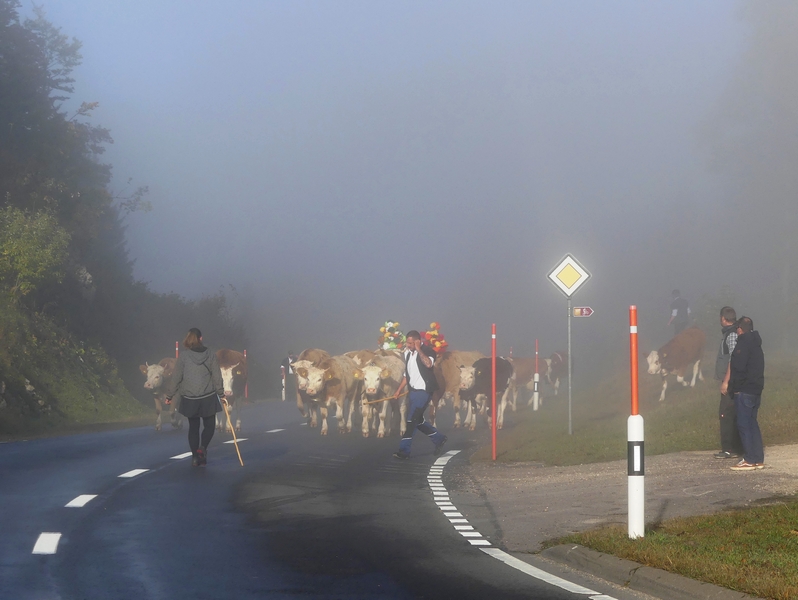 P1310558.JPG