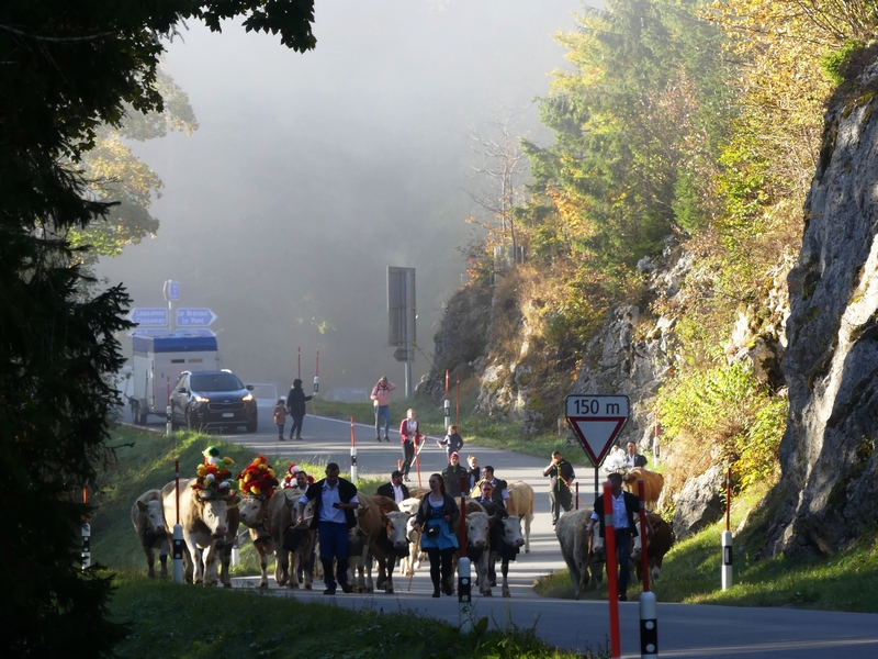 P1310564.JPG