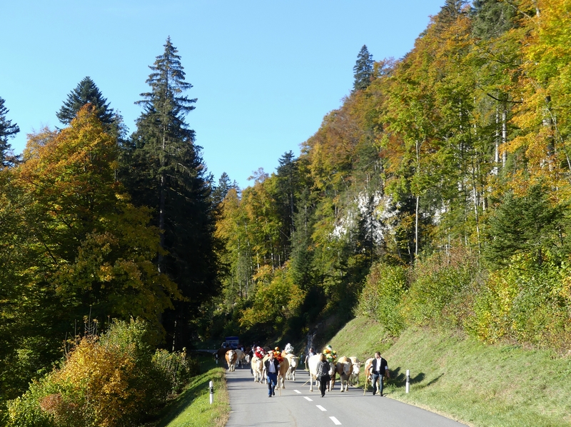 P1310589.JPG