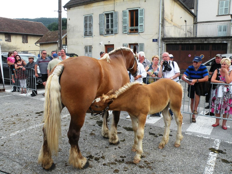 DSCN7918.JPG