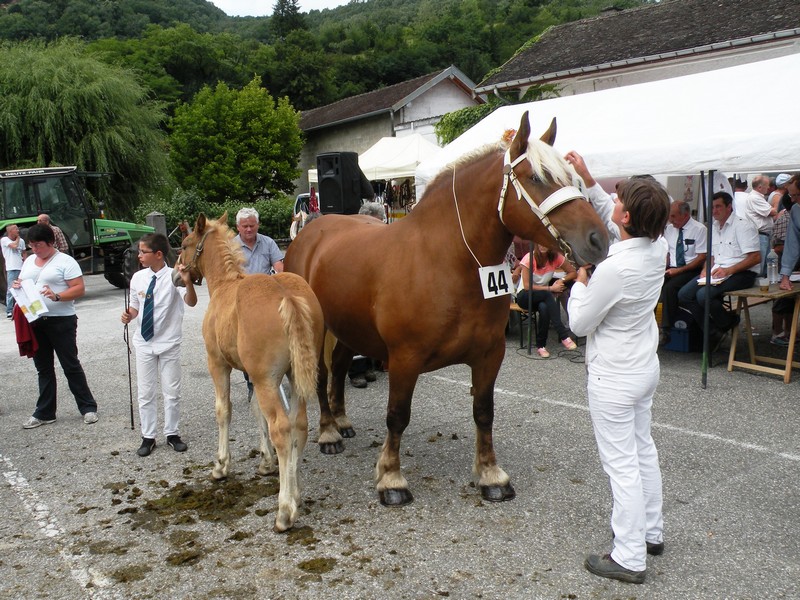 DSCN7944.JPG