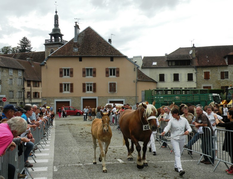 DSCN7953.JPG