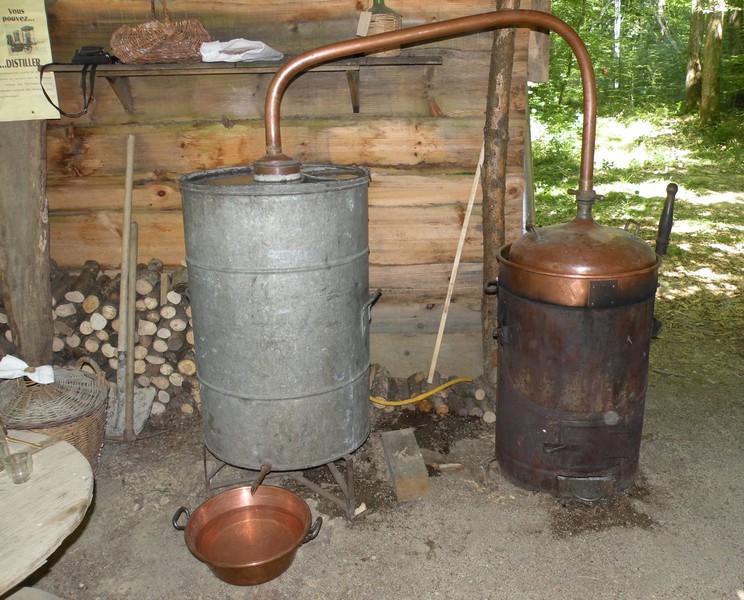 DSCN9249.JPG