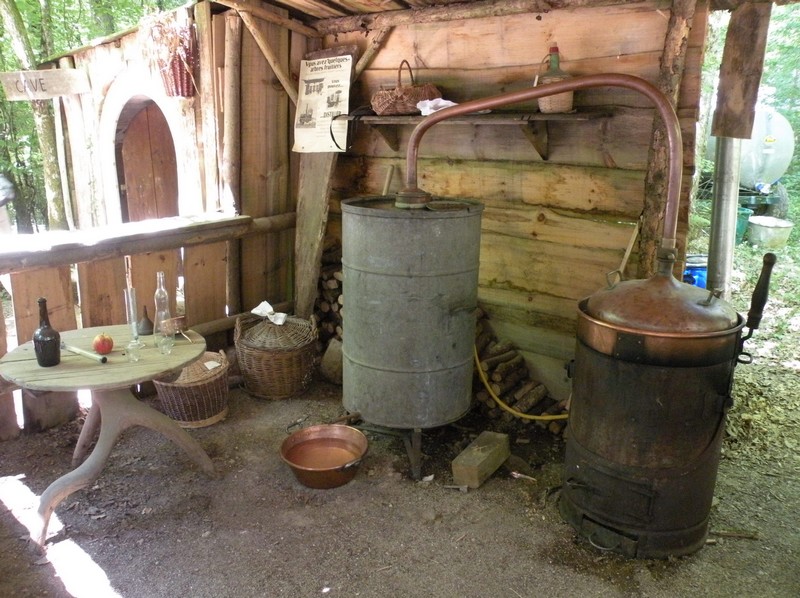 DSCN9253.JPG