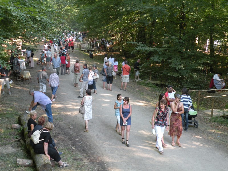 DSCN9497.JPG