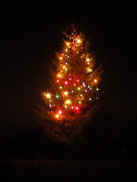 DSCN7646.JPG