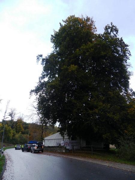 P1430400.JPG
