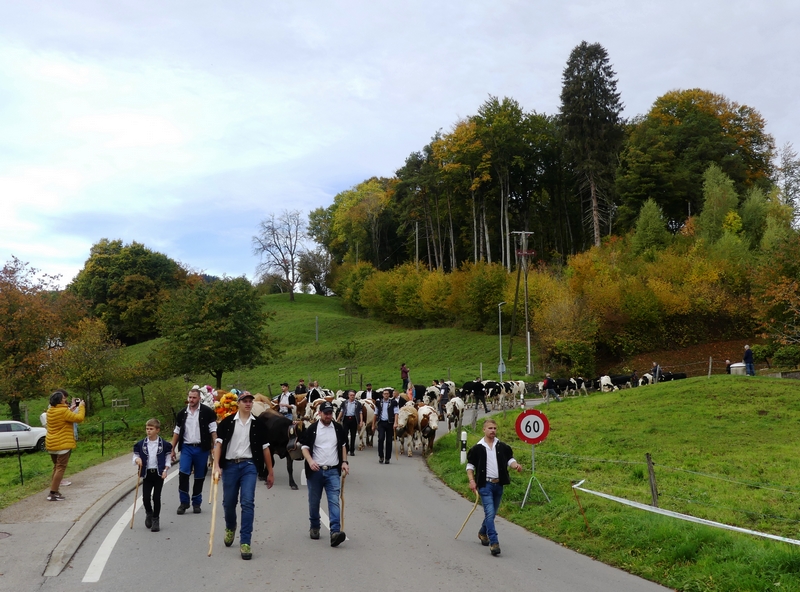 P1430546.JPG