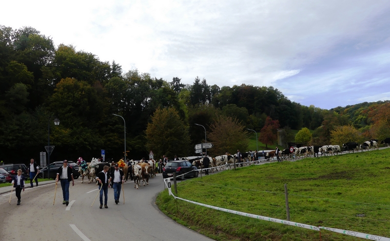 P1430550.JPG