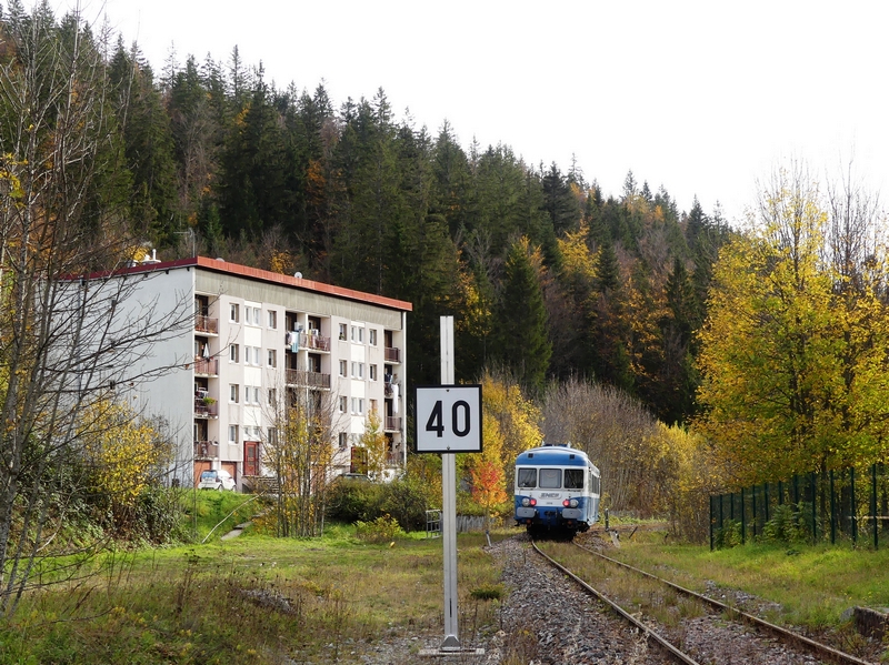 P1440472.JPG