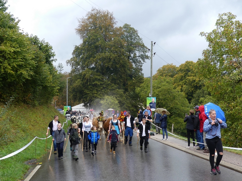 P1530138.JPG