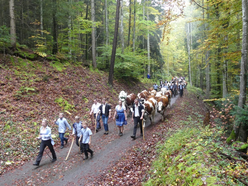 P1100098.JPG