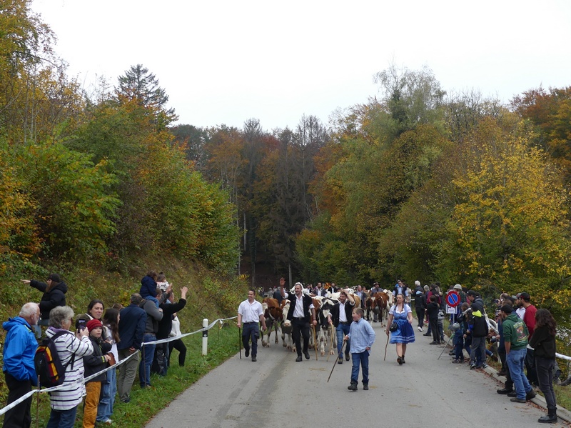 P1100147.JPG