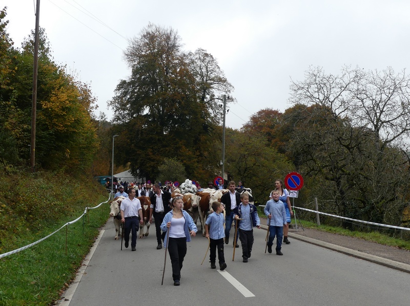 P1100183.JPG