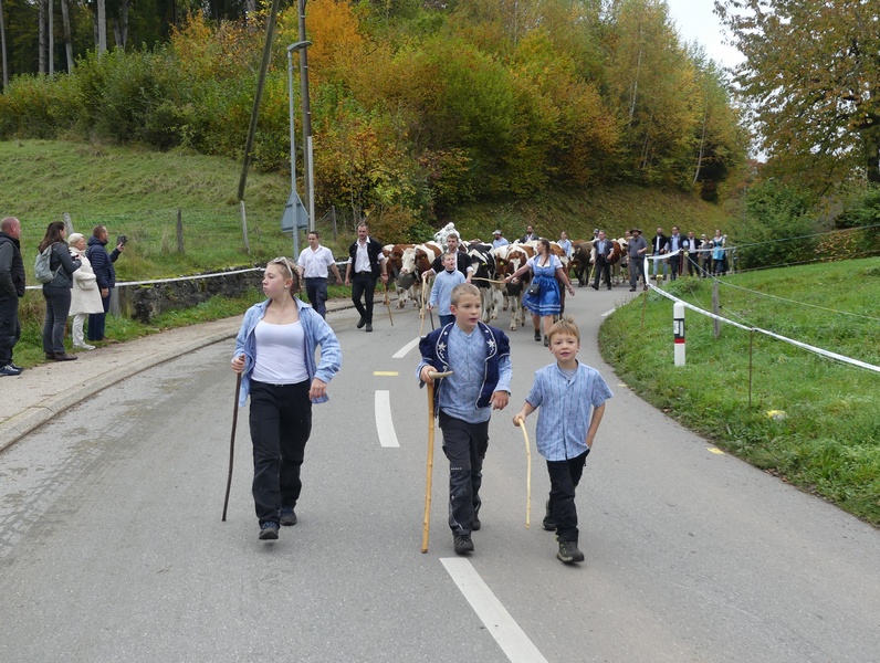 P1100189.JPG