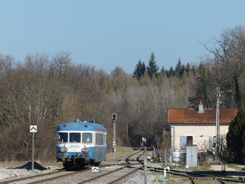P1100920.JPG