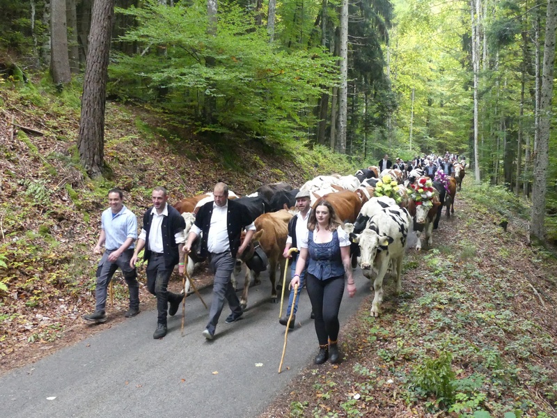 P1180794.JPG