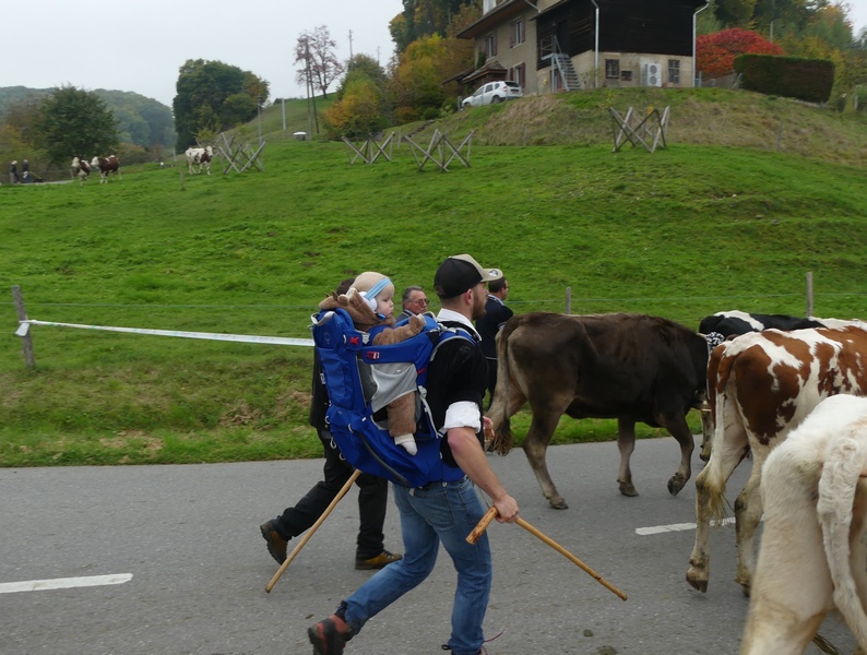 P1180881.JPG